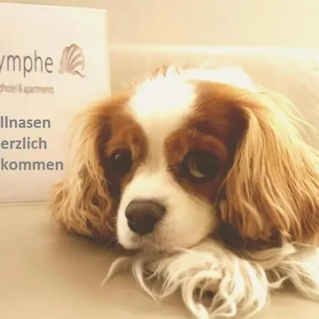 ホテル Nymphe Strandhotel & 4*